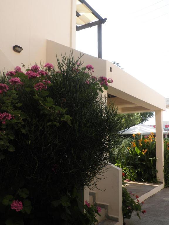 Aigialis Apartments & Studios Kokkini Hani 客房 照片